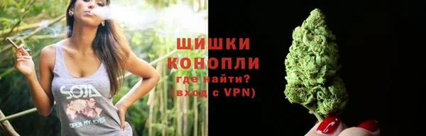 сатива Кукмор