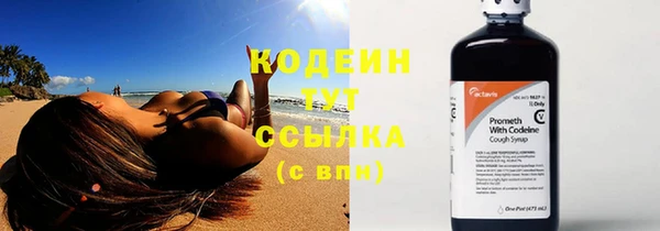 амф Кулебаки