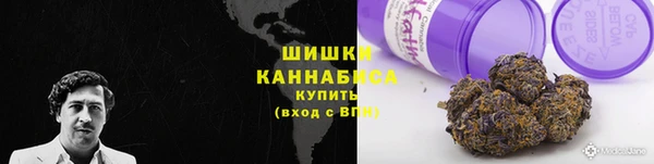 сатива Кукмор