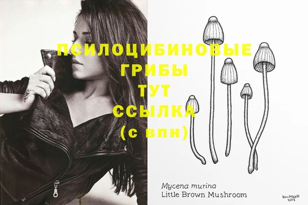 сатива Кукмор