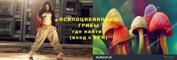 сатива Кукмор