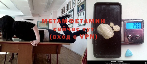 сатива Кукмор