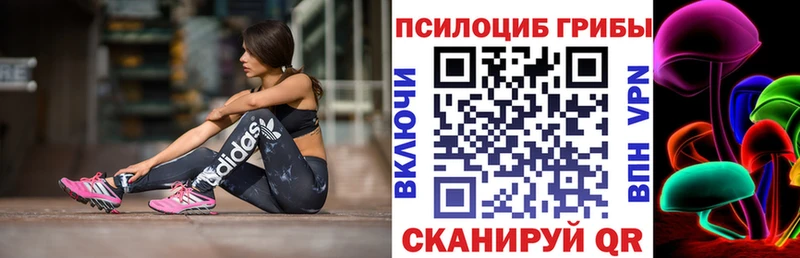 Псилоцибиновые грибы Cubensis  Купить закладки  Каспийск 